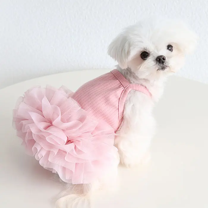 2024 nuevo vestido elegante de hilo para perros Primavera Verano vestido para mascotas