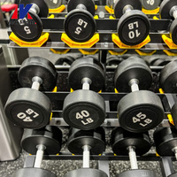 Haltères à tête ronde recouvertes de caoutchouc, logo personnalisé, équipement d'entraînement de force, haltères en acier pour musculation, 5-110 lb