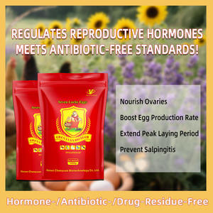 Suplemento Herbal + Probiótico para Gallinas Ponedoras - Aumenta la Producción de Huevos, Prolonga el Pico de Producción y Mejora la Calidad de la Cáscara del Huevo - Product Image 3