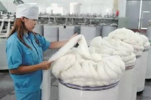 Ligne de Production chinoise fpv, 30 tonnes par jour, en Polyester ajouré compressé, pour extensions - Product Image 6