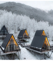 Maison préfabriquée modulaire de style nordique de 97 mètres carrés, cabane en bord de mer, toit en pente à chevrons, bois foncé, bois lourd
