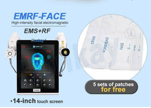 Masseur facial EMS RF sans <span class=keywords><strong>injection</strong></span> pour le lifting du <span class=keywords><strong>visage</strong></span>, élimination des rides, resserrement de la peau, anti-âge, appareil de beauté pour les soins du <span class=keywords><strong>visage</strong></span> à domicile et en salon - Product Image 6