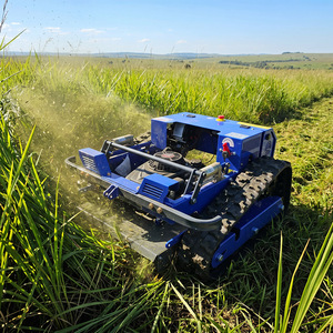 Tondeuse à gazon industrielle sans fil de 550 mm, haute efficacité, agricole, CE EPA, autopropulsée, télécommandée - Product Image 3