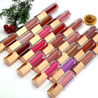 Brillant de marque privée Brillant à lèvres liquide à paillettes de marque privée Brillant à lèvres Luminizer Gloss Plumper