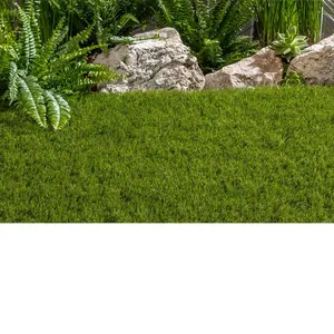 Gazon artificiel, pelouse de jardin verte en polyéthylène, imperméable, style classique, revêtement de pelouse extérieur - Product Image 1