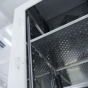 Incubadora de CO2 de Gran Capacidad Biobase China, con Control de Concentración de CO2, Tiempo de Funcionamiento y Temporizador, para Laboratorio - Product Image 3