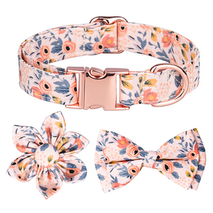 Großhandel Metalls chnalle Hunde halsband Langlebiges verstellbares Hunde halsband Weich für kleine mittelgroße Hunde - Product Image 1