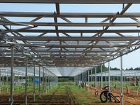 Sistema de Montaje Agrícola para Paneles Solares de Acero Galvanizado en Caliente, Estructura Agrivoltaica de Acero al Carbono |   Artsign