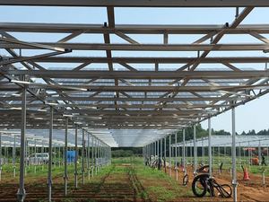 Système <span class=keywords><strong>de</strong></span> montage agricole pour fermes solaires en acier galvanisé <span class=keywords><strong>à</strong></span> chaud, structure agrivoltaïque en acier au carbone pour panneaux solaires |   Artsign - Product Image 3