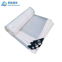 Bâche en PVC transparente pour extérieur, résistante, imperméable, pour plantes succulentes, protection contre la pluie, protection UV, taille moyenne