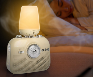 Bluetooth Âm Thanh AM FM WB Armatherapy Đài Phát Thanh LED Đèn Pin Bàn Đèn Bầu Không Khí Ánh Sáng Ngân Hàng Điện Tay <span class=keywords><strong>Dynamo</strong></span> SOS Loa - Product Image 1