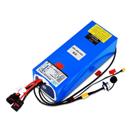 Batería de Litio de Estado Sólido Personalizada de 48V 30Ah, Diseño Resistente a Impactos de 800 Ciclos, Descarga Estable de Alta Potencia, RS485, Robot Cuadrúpedo