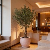 Décoration de hall d'hôtel, olivier artificiel de qualité supérieure de 270 cm avec troncs naturels, décoration paysagère intérieure, olivier artificiel à feuillage persistant