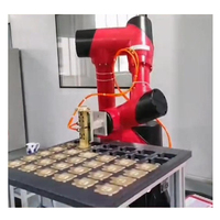 博伦特工业机器人最大负载Cobot机器人手臂出售5千克提供大吸气泵6自由度机械手机器人手臂
