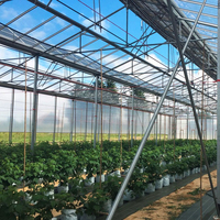 Serre solaire passive moderne commerciale avec grand panneau solaire transparent pour la culture de légumes