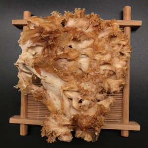 Champignons Sparassis Crispa séchés de haute qualité en promotion – Champignons de choux-fleurs - Product Image 1