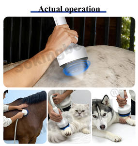 Macchina Versatile per Terapia a Onde d'Urto Extracorporee per Animali, per Alleviare il Dolore e Accelerare la Guarigione, per Uso Veterinario - Product Image 6