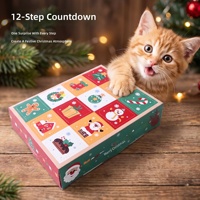 Calendrier de l'Avent pour animaux de compagnie le plus vendu sur Alibaba, boîte cadeau avec balles en plastique colorées assorties, jouet interactif géométrique de dessin animé