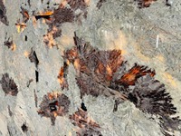 Panneaux en quartzite Patagonia Cristo couleur orange, finition nid d'abeille, prix réduit directement de l'usine, pour décoration murale et design d'intérieur.