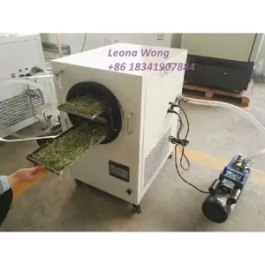Kleine Vakuum-Gefriertrocknung maschine Lyophilisator Gemüse Obst Fleisch Tiernahrung Home Gefriert rockner Maschine