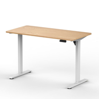 Bureau d'ordinateur personnalisé en métal blanc réglable en hauteur électrique Table de bureau élévatrice Bureau debout pour le salon