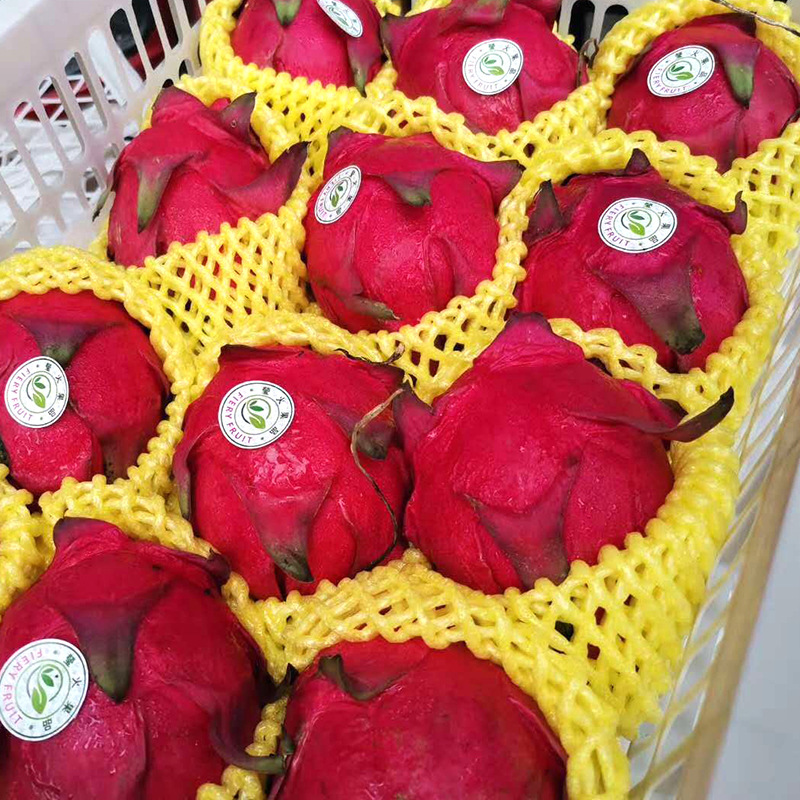 Roller Pe Foam For Packing Bottle And Fruit Protective Sleeve Net