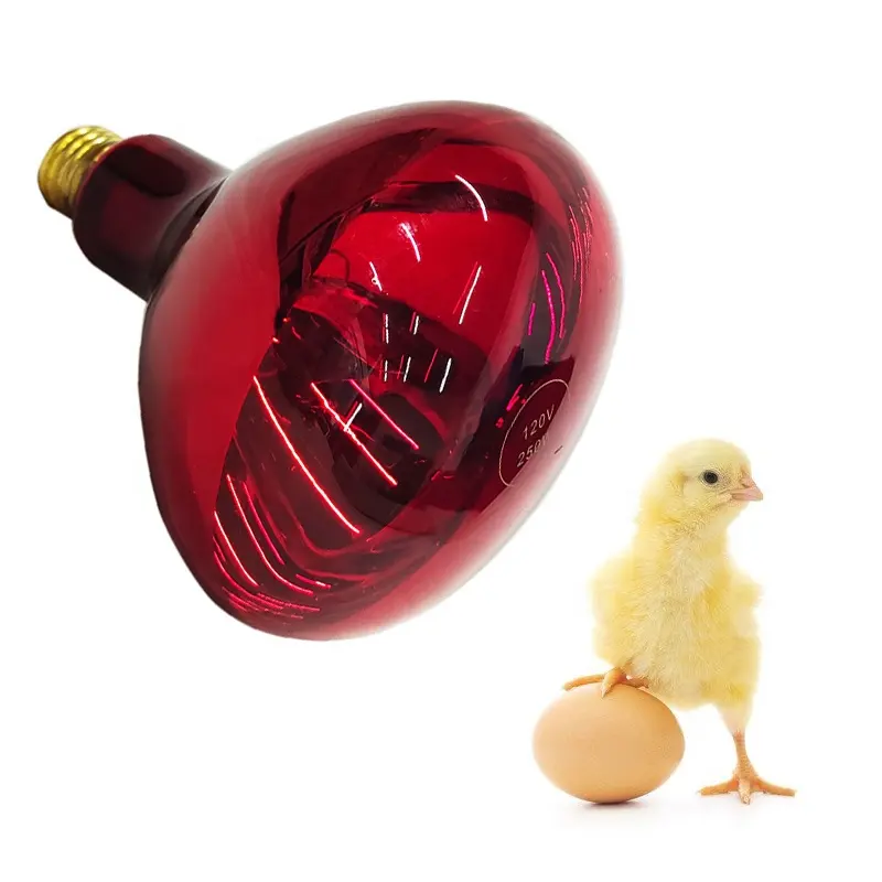 R125 Globe Infrarood Warmte Lamp 250W Infared Lamp Infrarood Voor Pluimvee Farm Pig