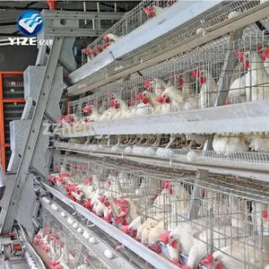 Good Selling Good Quality Mechanized Poultry Farming Equipment Poultry Layer Cage Chicken Feeding 96-160 Chickens Wire Provided