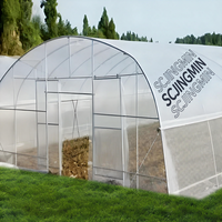 Serre tunnel de jardin populaire, conception accessible, avec couverture en film vert pour fruits, légumes et fleurs
