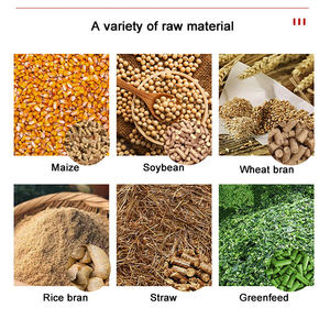 Nueva Máquina de Alimentos para Mascotas, Perros y Gatos, Molino de Pellets para Alimento Animal, Capacidad de 400 kg/h, 380V/220V, para Uso en Granjas y Hogares - Product Image 4