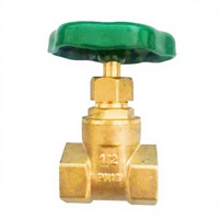 Produsen Katup Gerbang Cina, Ulir NPT/BSP 1/2"-4", Katup Air Tembaga Kuningan Bebas Timbal Manual, Garansi 10 Tahun