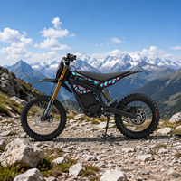Elektrisches Motorrad Off-Road-Rennmotorrad Surron Light Bee X Elektrisches Dirt Bike 60V 40Ah Geländetaugliches Hochgeschwindigkeits-Crossmotorrad