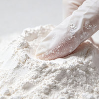 Poudre de talc haute transparence XUFENG |   Haute blancheur, haute pureté et faible absorption d'huile pour la modification des plastiques Liaoning Chine