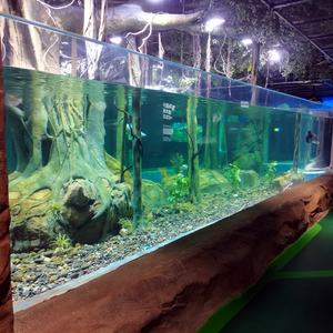 중국 공급 업체 거대한 어항 수족관, 현대적인 디자인 오션 월드 수족관 @ - Product Image 2