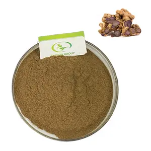 GMP hot selling high quality black ginger extract powder