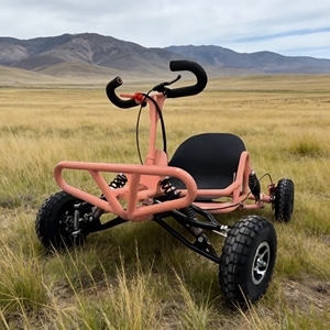 Go-Karts Profesionales para Entretenimiento de Adultos, Go-Karts Divertidos para Adultos para Parques Recreativos - Product Image 1