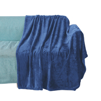 Impression personnalisée broderie Logo corail flanelle couverture hiver flanelle couverture ménage Animal dessin animé tissé serviette couverture