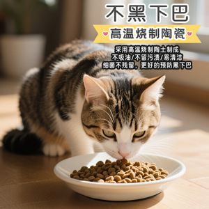 Bol en céramique pour chat avec support pour le cou, base antidérapante, forme arrondie pour l'alimentation et l'abreuvement des animaux de compagnie - Product Image 3