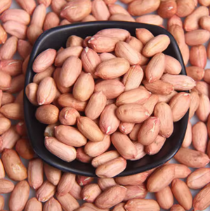 Käufer Großhandel Jumbo rohe fett blanchierte Erdnuss kerne zum Kochen - Product Image 3