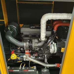 Generador diésel profesional de 30 kVA, generador eléctrico diésel silencioso de 30 kVA, grupo electrógeno - Product Image 4