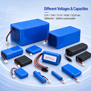 <span class=keywords><strong>Batterie</strong></span> Li-Ion rechargeable ZHGPOWER 18650 4000mAh 3.7V, vente chaude - Product Image 4