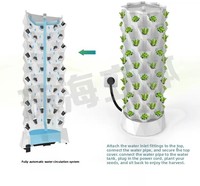 Tour d'ananas multi-trous pour plantation verticale, équipée d'un système d'irrigation hydroponique circulante pour économiser les ressources et l'espace