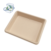 Plateaux jetables en bagasse de canne à sucre, écologiques et compostables, pour fruits et aliments frais