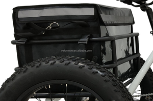 Triciclo eléctrico para adulto, <span class=keywords><strong>tres</strong></span> <span class=keywords><strong>ruedas</strong></span>, <span class=keywords><strong>plegable</strong></span>, precio de fábrica personalizado, OEM - Product Image 4