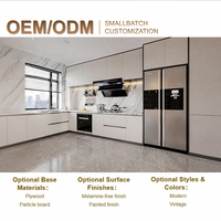 Meubles de cuisine et unités de rangement avec tiroirs, éclairage intégré et plan de travail en marbre pour maison moderne, appartement, villa