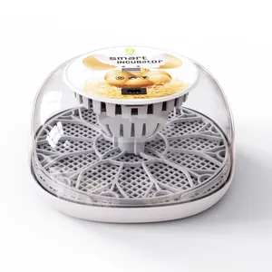 Incubadora de huevos de aves de amor digital automática, máquina de incubación para uso doméstico, mini 12