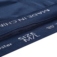 Sous-vêtements de ski pour homme Alpine PRO respirants et à séchage rapide, 100% polyester tricoté, design ODM de Zhejiang Chine pour les sports d'hiver