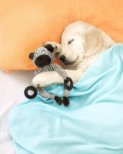 Interactive Wholesale Custom Cute Stuffed Animal Dog Toy Different Shape Corduroy Plush Rubber <b>Ring</b> for Chewining Pet Chew Toy - Product Image 6