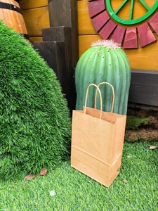 Vòng dây xử lý Kraft túi giấy màu nâu phân hủy sinh học bán lẻ quần áo bao bì túi giấy sinh thái thân thiện Túi mua sắm - Product Image 2