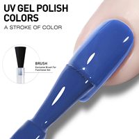 Ensemble de vernis à ongles en gel Ms Rainbow, design de marque privée, vernis gel 15 ml, ensemble de vernis à ongles à source de lumière LED
